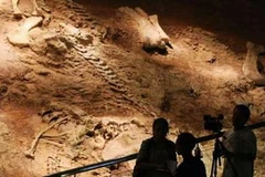 Ảnh chỉ có tính chất minh họa. (Nguồn: Internet)