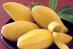 (Ảnh minh họa: livecantho.com)