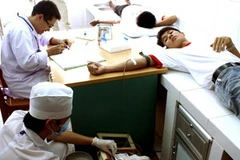 Ảnh chỉ mang tính chất minh họa. (Nguồn: Lê Huy Hải/TTXVN) 