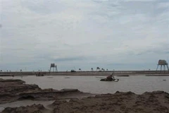 Ảnh chỉ có tính chất minh họa. (Nguồn: Internet)