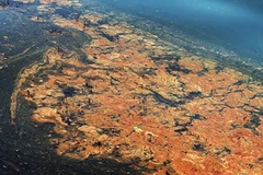 Dầu tràn trên mặt nước thuộc bờ biển ở Grand Isle, Louisiana hồi tháng 6. (Nguồn: AFP/TTXVN)