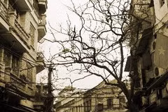 Phố Hà Nội. (Ảnh minh họa: Nhật Anh/TTXVN)
