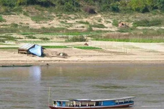 Ảnh chỉ có tính chất minh họa. (Nguồn: Internet)