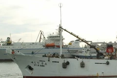 Ảnh minh họa. (Nguồn: AFP/TTXVN)