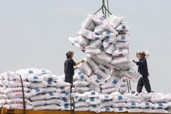 Ảnh minh họa. (Nguồn: Trần Lê Lâm/TTXVN)