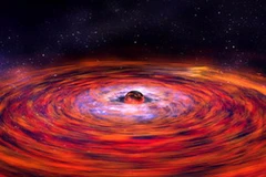 Ảnh minh họa. (Nguồn: Internet)