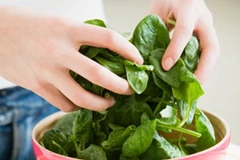 Rau chân vịt. (Nguồn: Internet)