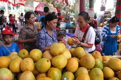 (Ảnh minh họa: Phương Vy/TTXVN)