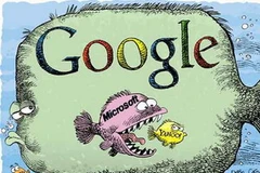 Ảnh chỉ mang tính minh họa. (Nguồn: Internet)