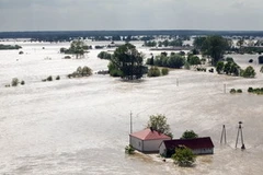 Ảnh chỉ mang tính minh họa. (Nguồn: Internet)