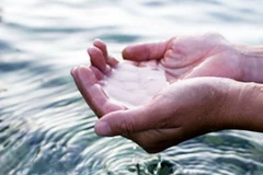 Ảnh minh họa. (Nguồn: Internet)