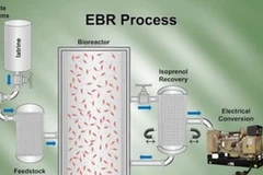 Hình ảnh minh họa cho quá trình sản xuất năng lượng sinh học từ thiết bị EBR. (Nguồn: zeitnews.org)