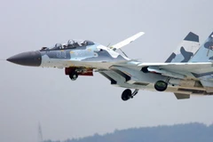 Máy bay chiến đấu Su-30 của Nga. (Nguồn: RIA Novosti)