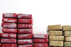 Ảnh minh họa. (Nguồn: AFP/TTXVN)