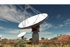 Kính viễn vọng vô tuyến Mạng cây số vuông (SKA). (Nguồn: Internet)