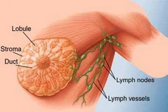 Ảnh minh họa. (Nguồn: bacsivn.com)