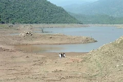 Ảnh chỉ mang tính minh họa. (Nguồn: Internet) 