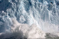 Biến đổi khí hậu đang khiến các tảng băng ở Bắc Cực bị tan chảy nhanh hơn. (Nguồn:Telegraph)