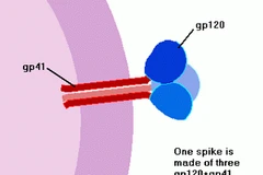 Ảnh chỉ có tính chất minh họa. (Nguồn: Internet)