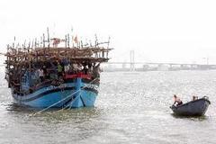 (Ảnh minh họa: Trần Lê Lâm/TTXVN)