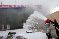 (Ảnh minh họa: Trần Lê Lâm/TTXVN)