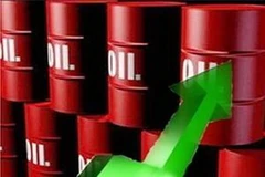 Ảnh minh họa. (Nguồn: Internet)