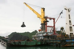 (Ảnh minh họa: Ngọc Hà/TTXVN)