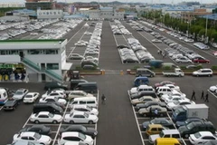 Ảnh chỉ mang tính minh họa. (Nguồn: Internet)