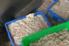 Số ruột lợn không rõ nguồn gốc. (Nguồn: Tuổi trẻ)