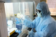 Ảnh minh họa. (Ảnh: Hà Thái/TTXVN)