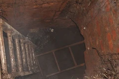 Ảnh minh họa. (Nguồn: Internet)