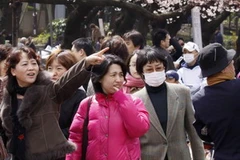 Người dân Nhật Bản. (Nguồn: AFP/TTXVN)