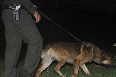 Cảnh sát kiểm tra hiện trường vụ nổ bom gần Đại sứ quán Mỹ. (Nguồn: Reuters)