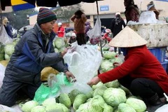 Mua bán rau. (Ảnh minh họa: An Đăng/TTXVN)