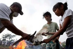 Nhà chức trách Indonesia tiêu hủy gia cầm nhiễm bệnh tại Jakarta hồi tháng 3/2009. (Nguồn: EPA/TTXVN)