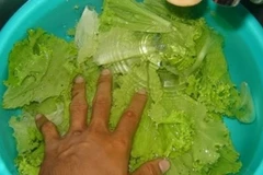 Ảnh chỉ mang tính chất minh họa. (Nguồn: Internet)