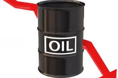 Ảnh minh họa. (Nguồn: Internet)