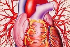 (Ảnh minh họa: flameez.com)