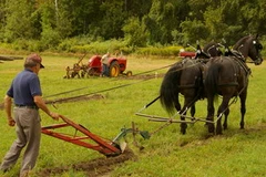 Ảnh minh họa. (Nguồn: Internet)