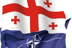 Ảnh minh họa. (Nguồn: Internet) 