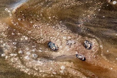 Sau vụ tràn dầu của hãng BP tại vùng vịnh Mexico, EU đã đề xuất cấm mọi dự án khoan thăm dò và khai thác dầu-khí ở ngoài khơi. (Nguồn: AFP/TTXVN)