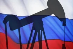 Ảnh minh họa. (Nguồn: Internet)