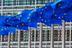 Ảnh minh họa. (Nguồn: Internet)