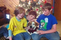 Ba đứa trẻ nhà Grapengeter chụp ảnh với Abby sau khi chú quay về nhà. (Nguồn: AP)