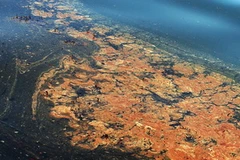 Thảm họa tràn dầu tại Vịnh Mexico hồi tháng Tư năm ngoái. (Nguồn: AFP/TTXVN)