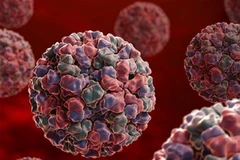 Virus cúm dạ dày bùng phát ở Anh trước Giáng sinh