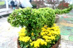 Đường 12 con giáp bắt đầu từ con mèo, biểu trưng cho năm Tân Mão 2011. (Nguồn: Internet)