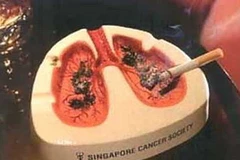 Ảnh chỉ mang tính chất minh họa. (Nguồn: Internet)