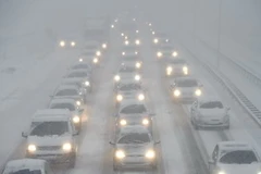 Tuyết rơi dày đặc ở Rotterdam, Hà Lan ngày 17/12. Ảnh minh họa. (Nguồn: AFP/TTXVN)