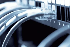 Ảnh minh họa. (Nguồn: Internet)